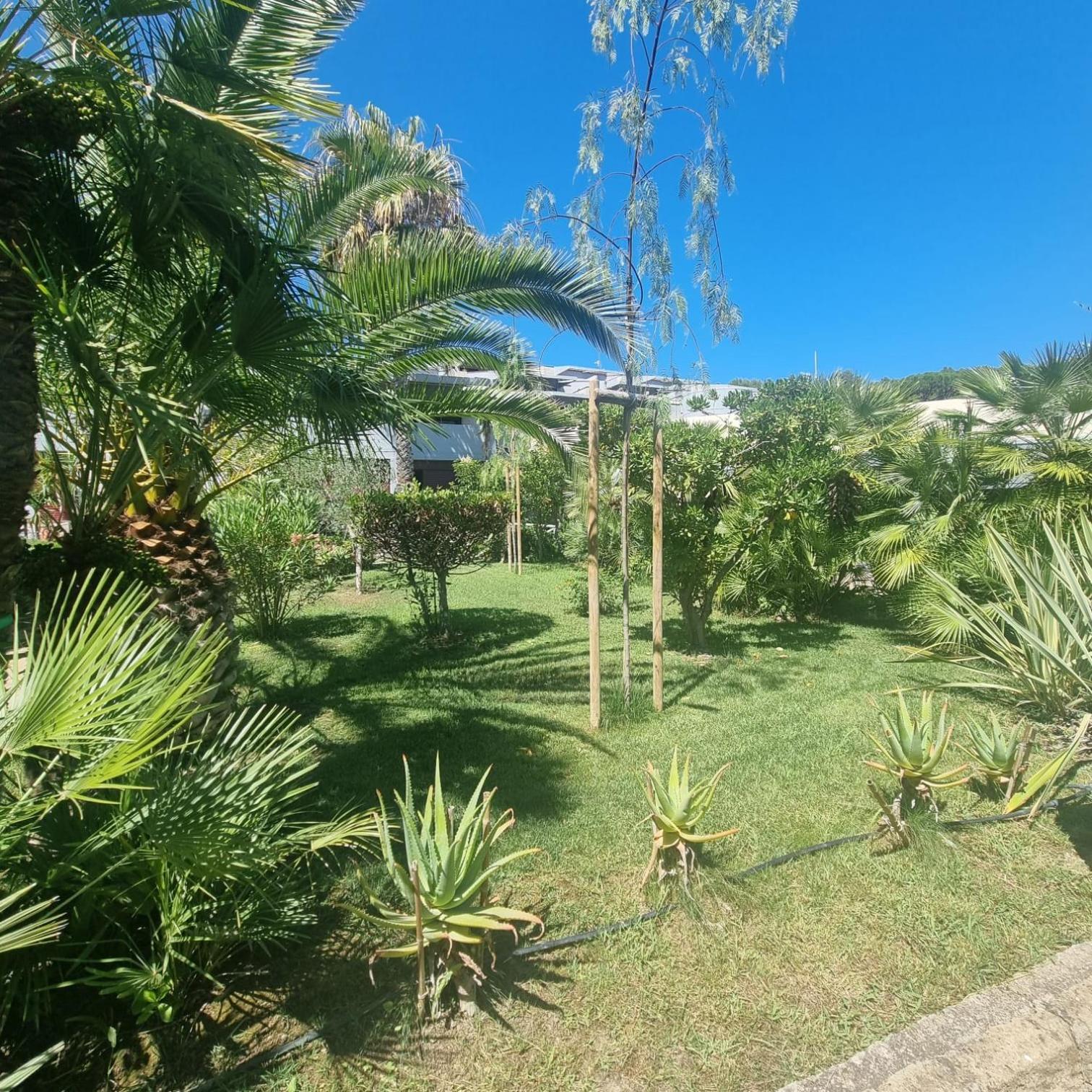 Residence Solemaremma Кастильоне дела Пеская Екстериор снимка